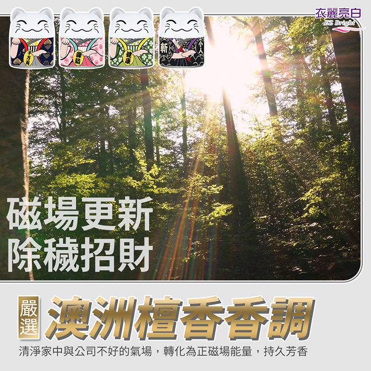 【金好拖】髒水分離拖把組-1拖+1桶+2布-湯鎮瑋老師推薦(開運/拖把/大掃除)