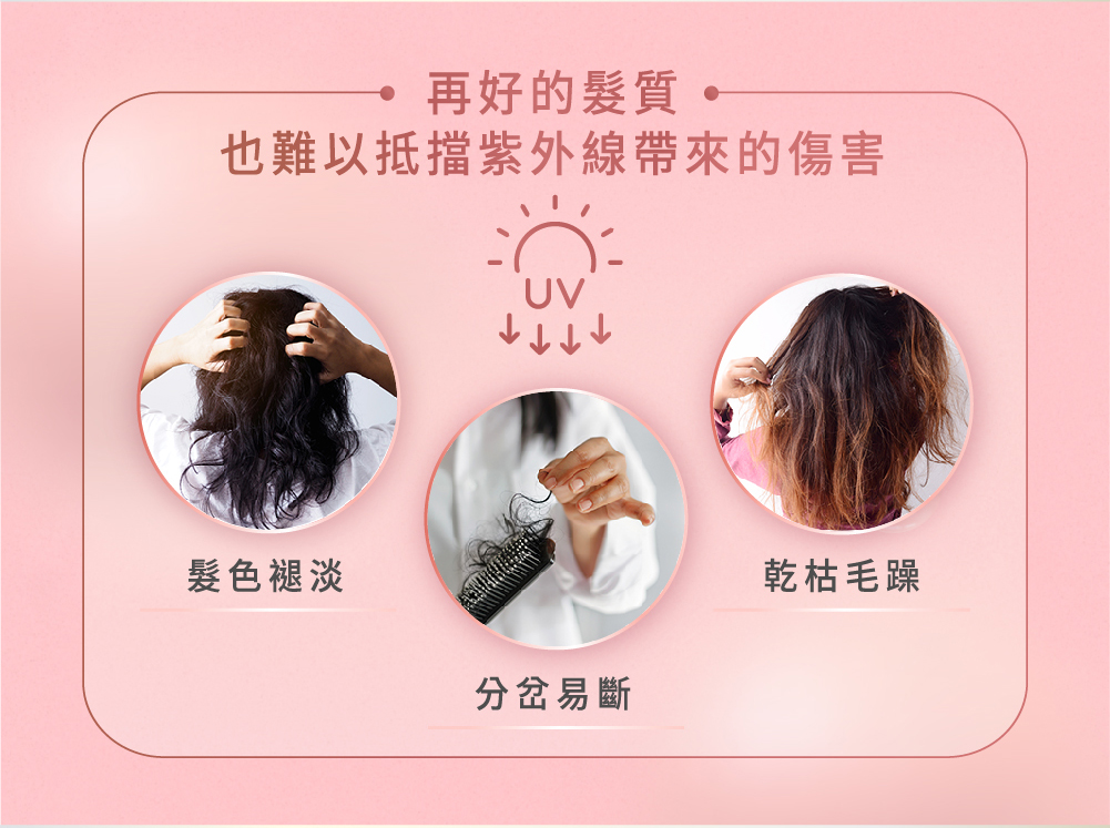 沿用