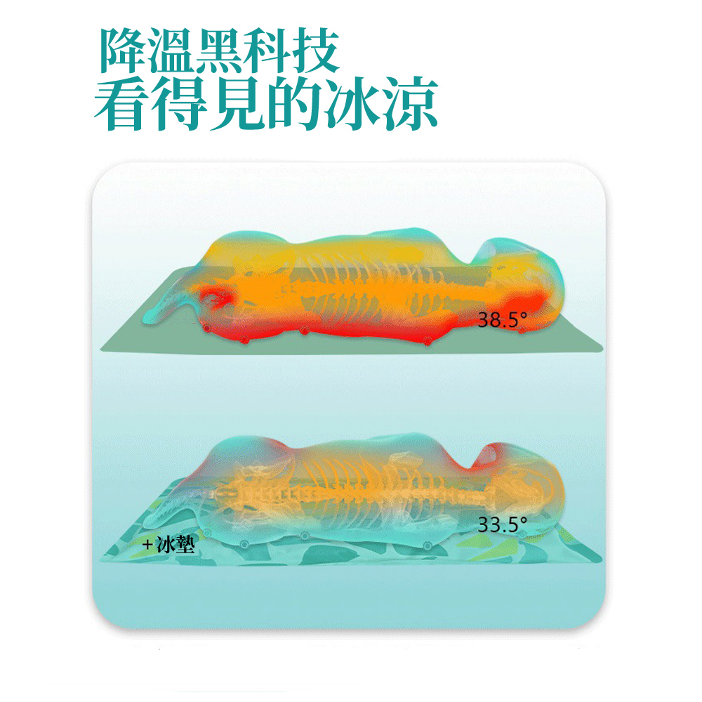 美國K&H 寵物冰絲涼感水床