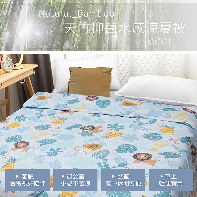 台灣製自然控溫天竹抑菌超薄水感紗夏天涼被 空調被/膝蓋被/車用被/旅行被