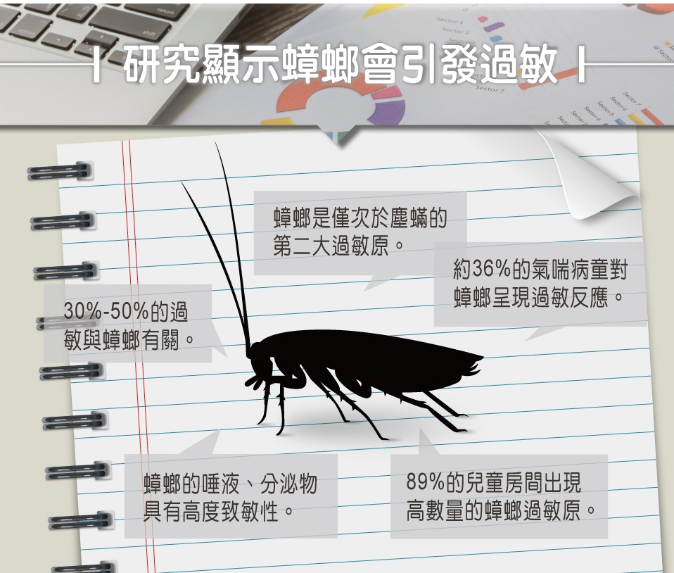 【白帥帥】地板清潔劑 天然精油抗菌2000g