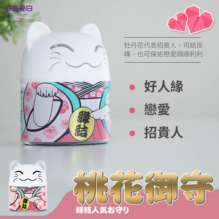 【金好拖】髒水分離拖把組-1拖+1桶+2布-湯鎮瑋老師推薦(開運/拖把/大掃除)