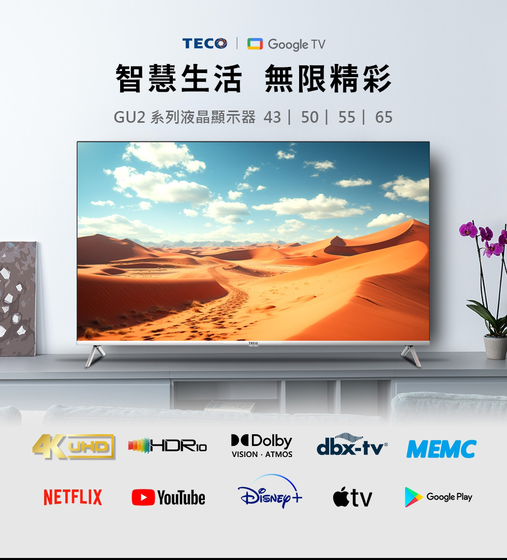 【TECO東元】65型 4K液晶電視 含拆箱定位 TL65GU2TRE