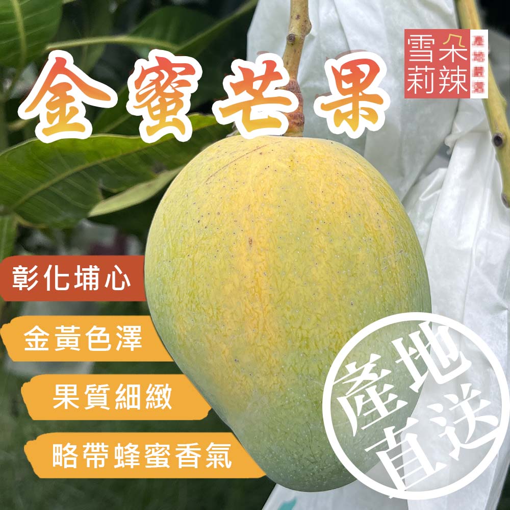【雪莉朵辣嚴選】金蜜芒果2.5kg(中果6-8粒、大果5粒/箱) 箱購水果