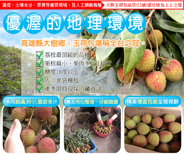 【築地一番鮮】產地直送高雄大樹爆汁剪枝玉荷包荔枝(4斤/盒)