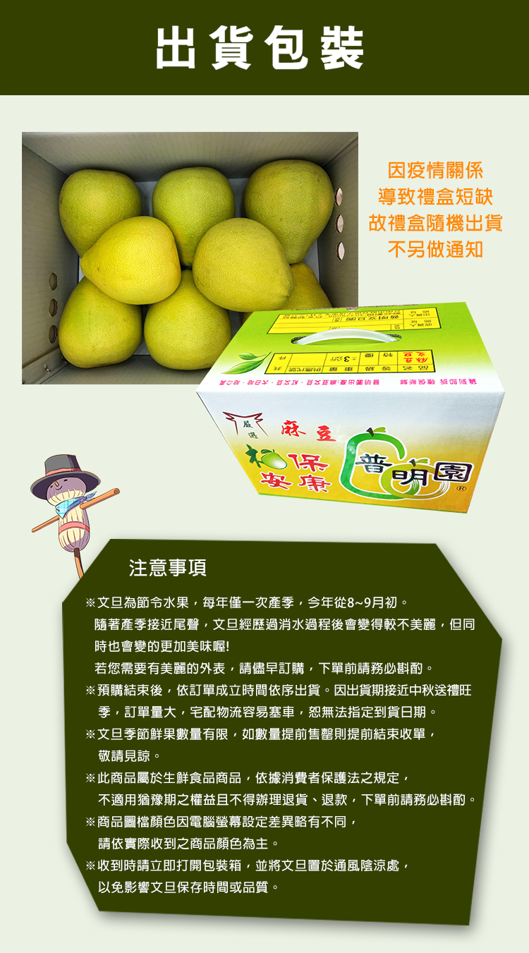 【普明園麻豆文旦】40年-特A級-老欉文旦 5斤/10斤