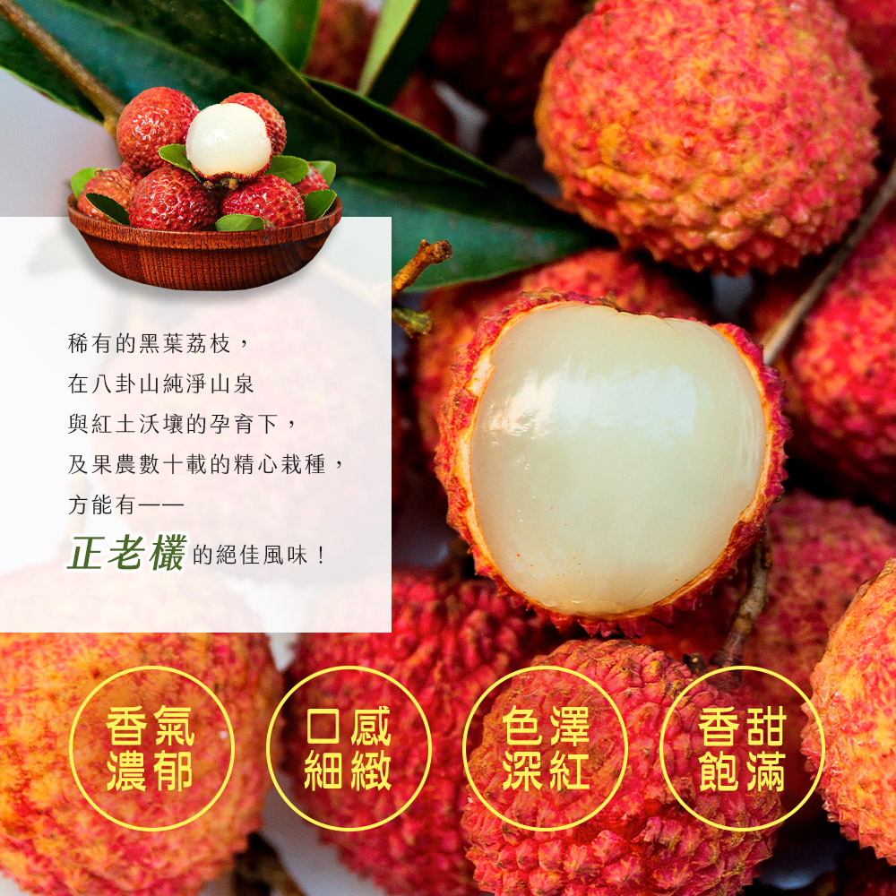 【雪莉朵辣嚴選】黑葉荔枝(5斤/箱) 箱購水果