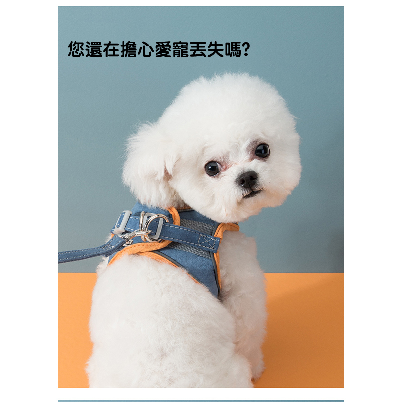 寵物胸背帶附牽繩 寵物H胸背帶 夜間反光