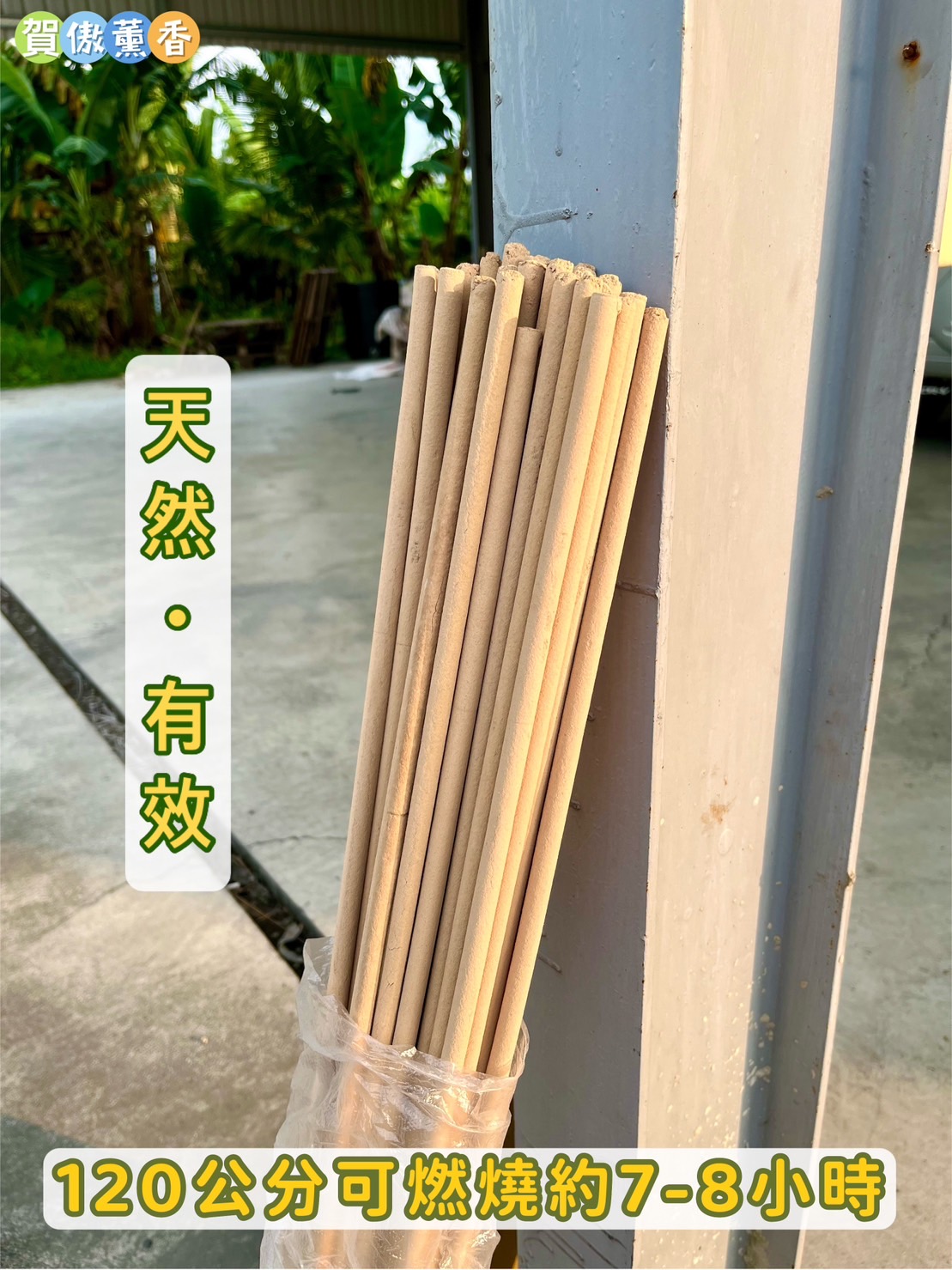 特濃天然艾草蚊香棒 60/120公分