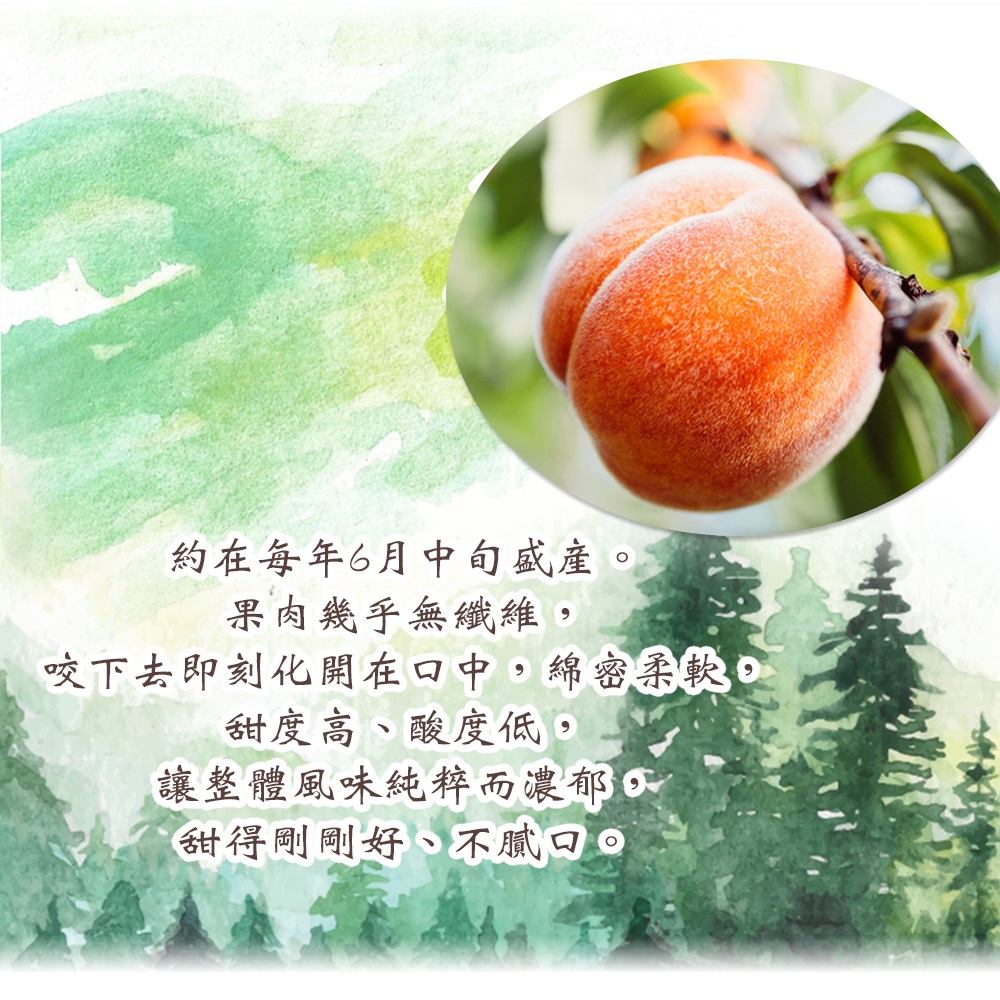 【禾鴻】台中新社夏蜜水蜜桃禮盒(3斤,6顆裝/8顆裝) 蜜桃 桃子 水果禮盒