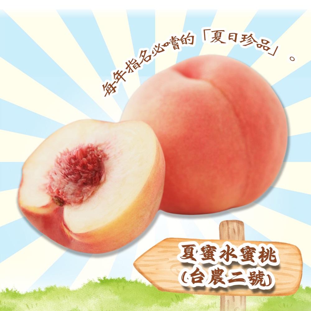 【禾鴻】台中新社夏蜜水蜜桃禮盒(3斤,6顆裝/8顆裝) 蜜桃 桃子 水果禮盒