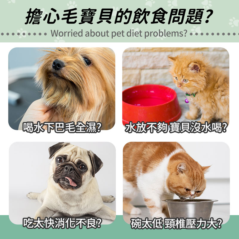 ◤快速到貨、一碗多用◢多功能四合一寵物碗【多色可選】