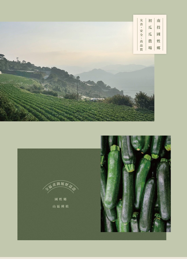 【初瓜瓜】櫛瓜脆片60g(原味/椒鹽/韓式海苔/醬辣)蔬菜乾 蔬菜片 健康零食