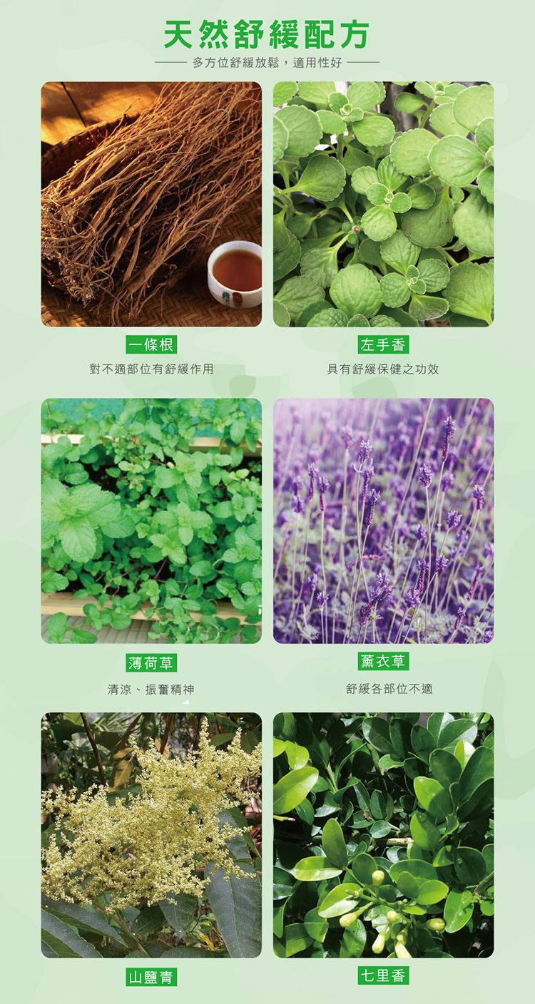 【正金牌】一條根電氣石貼布系列 電氣石貼布/舒緩貼片/肩頸用小貼布