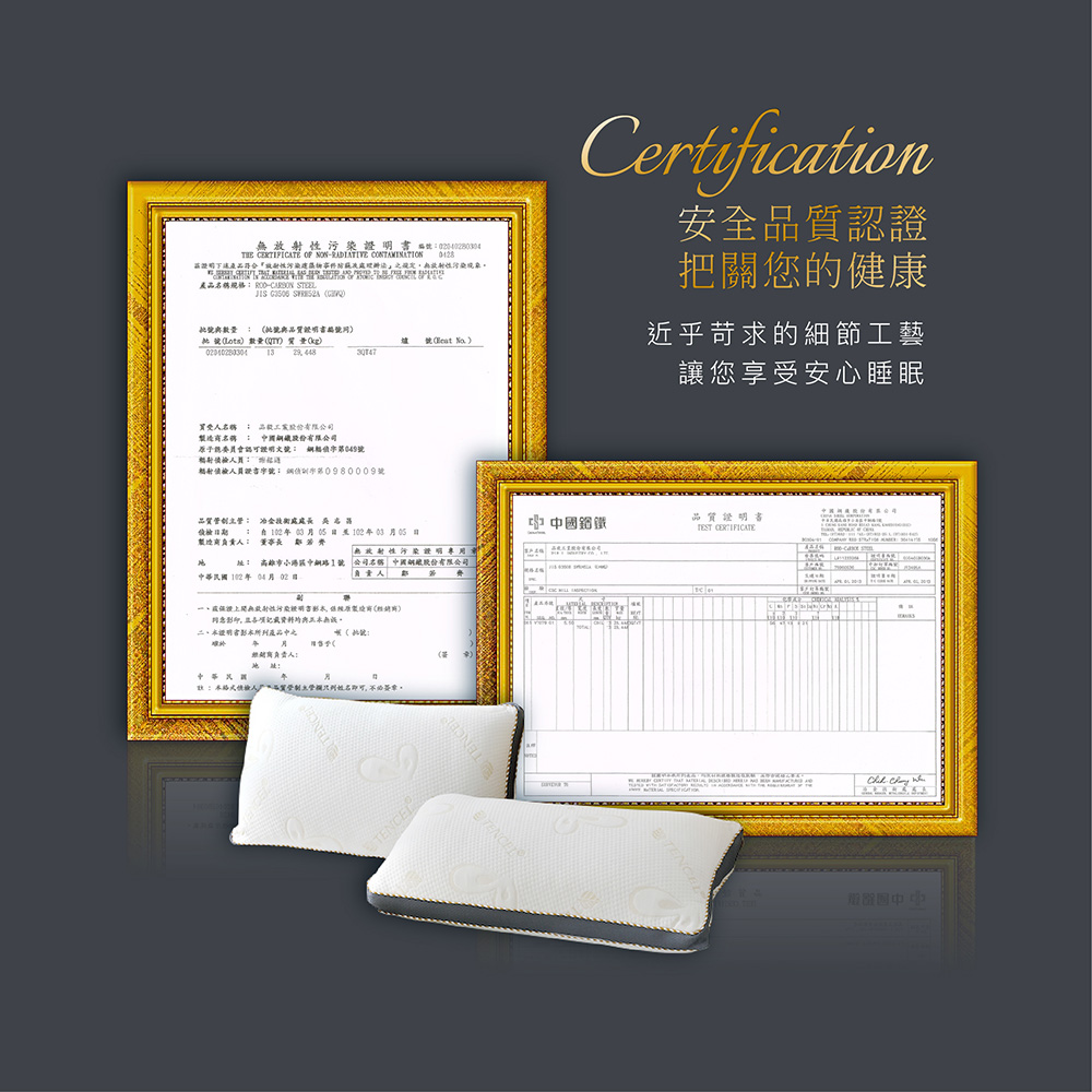 【BEST】台灣製機能獨立筒枕頭共六款 天絲/涼感石墨烯/氣壓可調式/可水洗枕