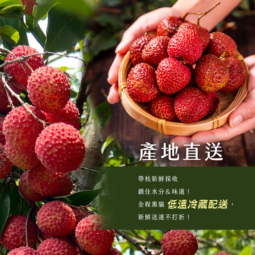 【雪莉朵辣嚴選】黑葉荔枝(5斤/箱) 箱購水果