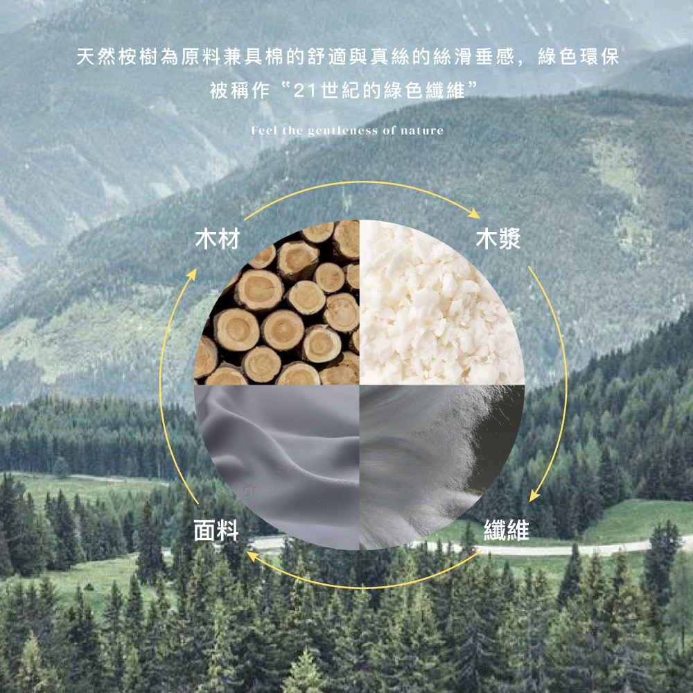 【BEST】60支100%天絲床包 素色床包 尺寸均一價 床包/枕套/鋪棉天絲被