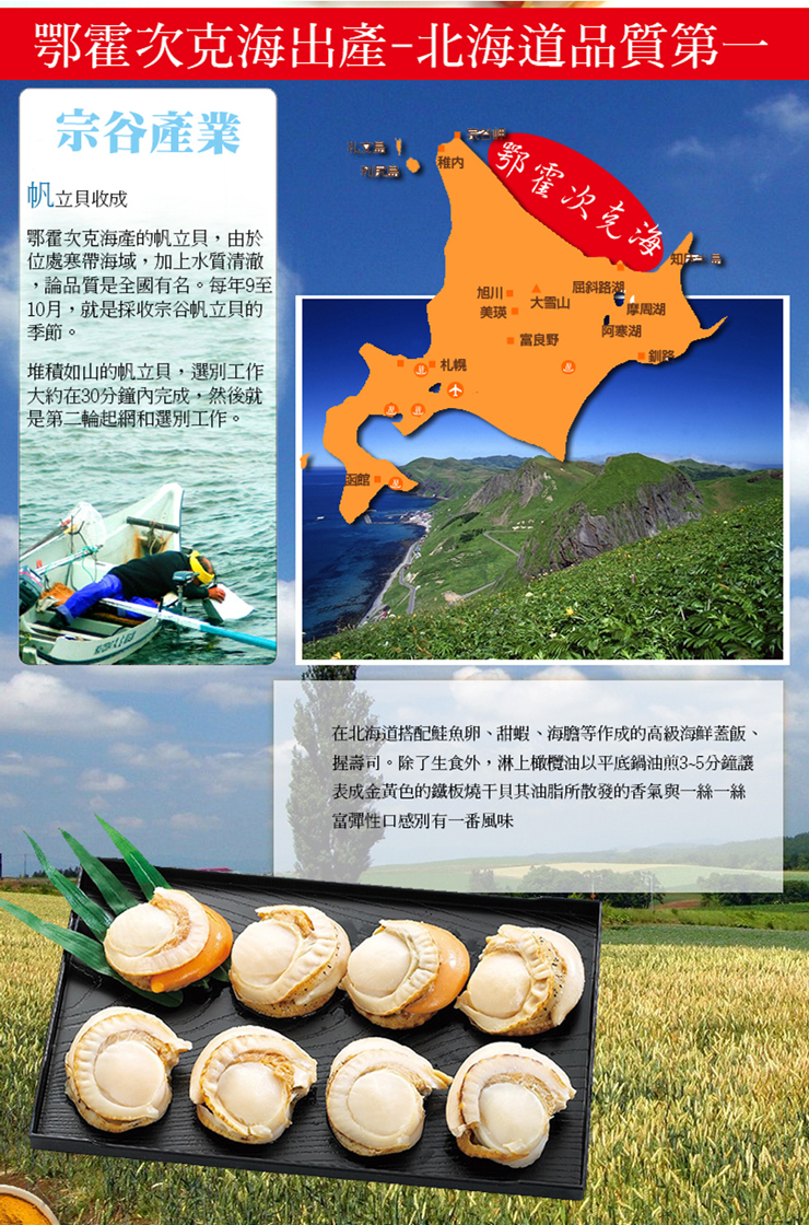 【築地一番鮮】2L北海道生食級特大帆立貝800g 干貝 扇貝