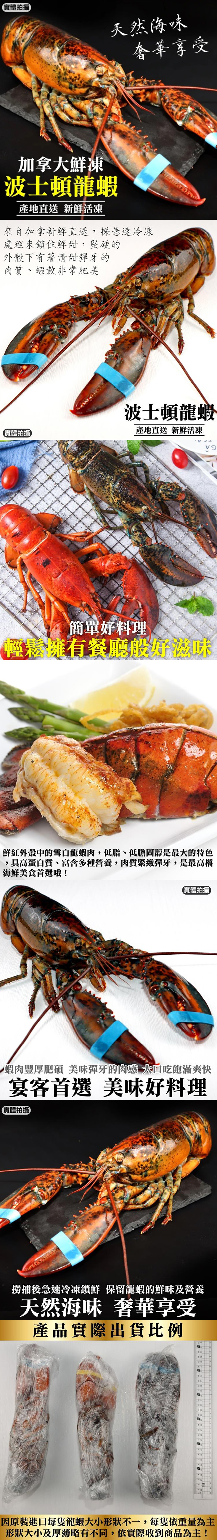 【三頓飯】加拿大活凍波士頓龍蝦450g/550g