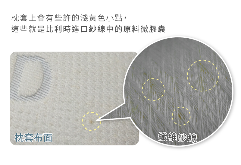 【日虎】MIT台灣製天絲舒麻枕 慢彈記憶枕/天絲枕頭套/楊月娥推薦