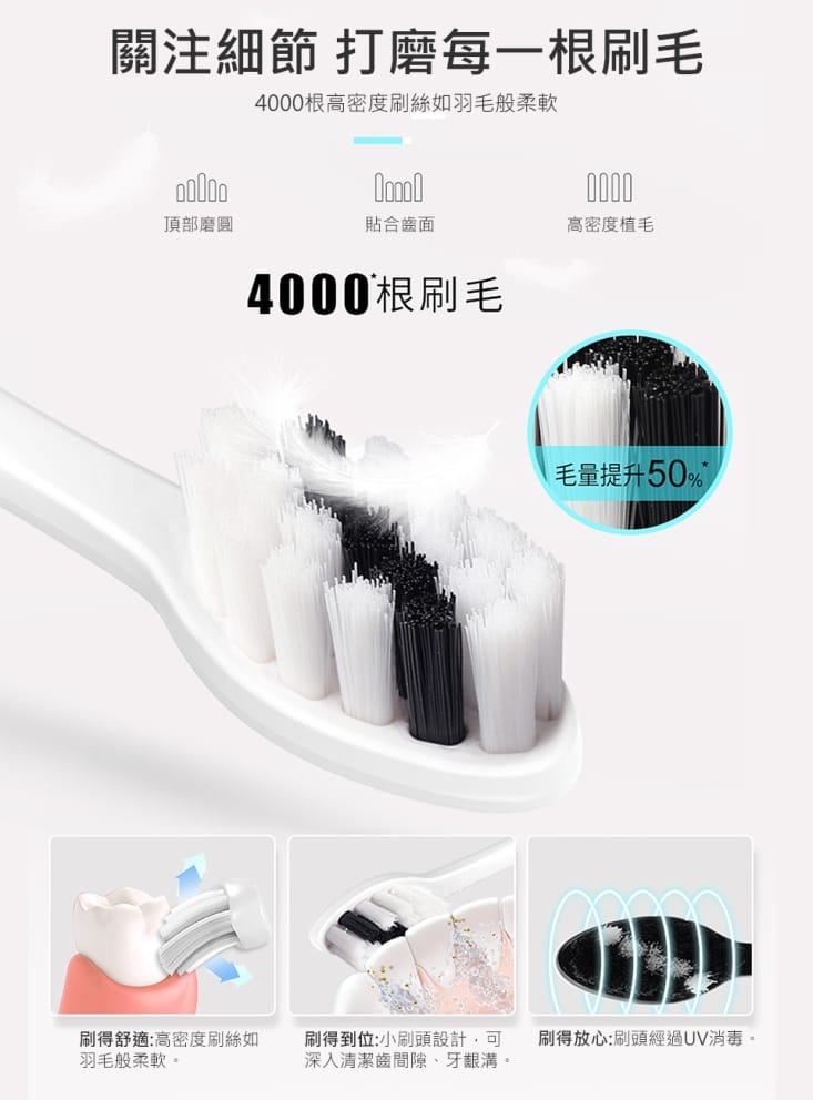 【SAMPO聲寶】五段式音波震動牙刷 TB-Z1906L