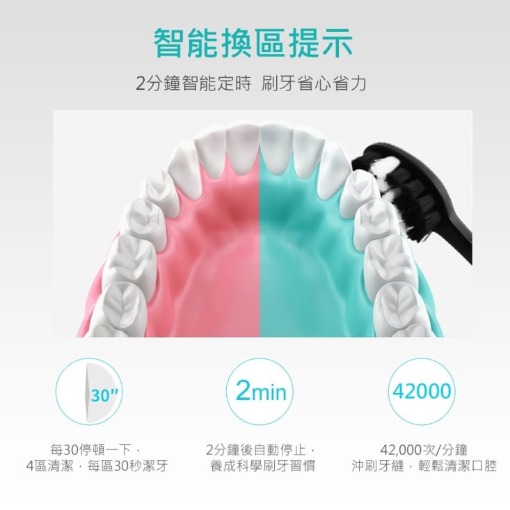 【SAMPO聲寶】五段式音波震動牙刷 TB-Z1906L