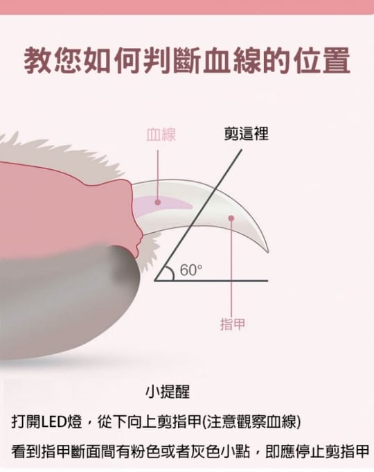 【雙11限定】防剪傷LED照明寵物專用指甲剪