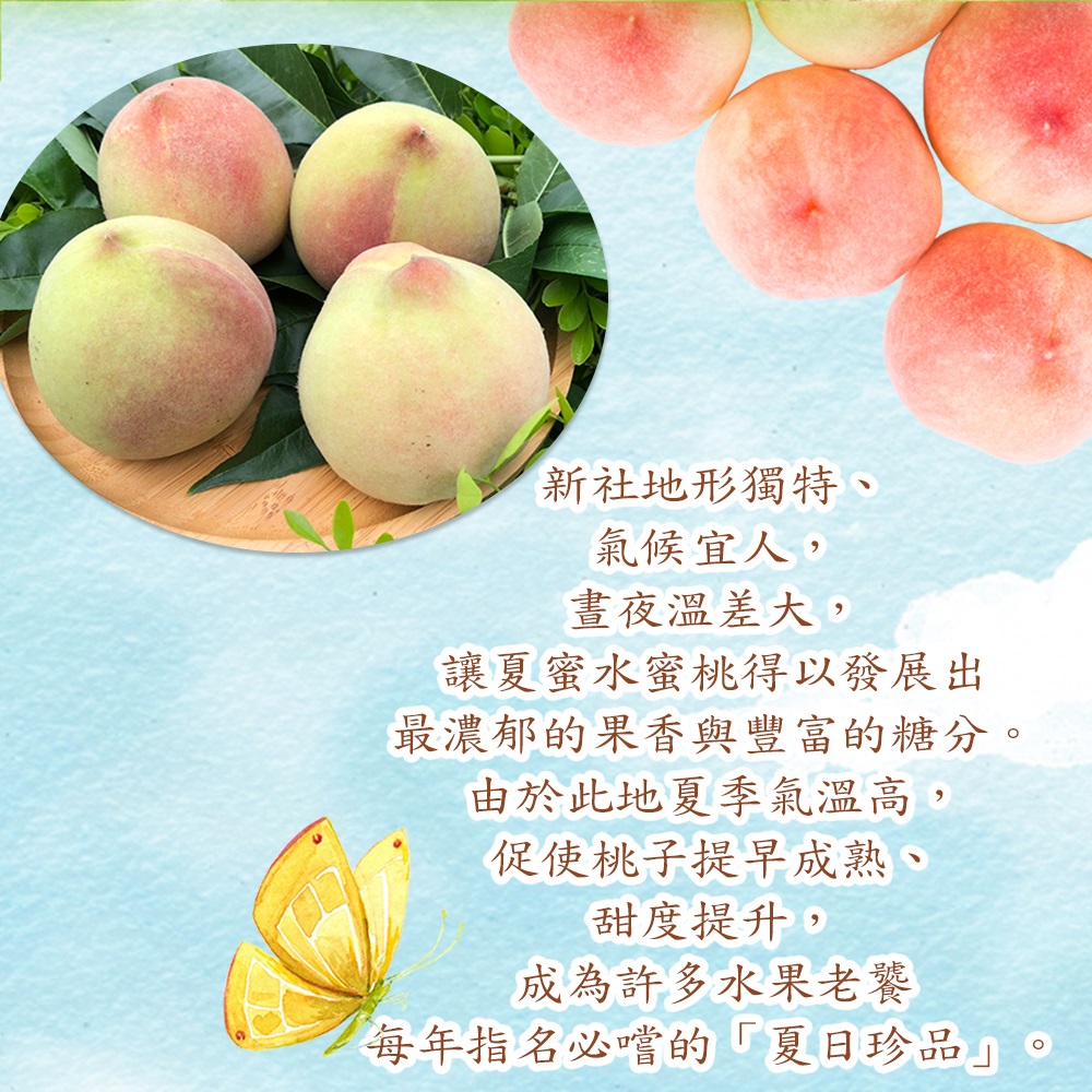 【禾鴻】台中新社夏蜜水蜜桃禮盒(3斤,6顆裝/8顆裝) 蜜桃 桃子 水果禮盒