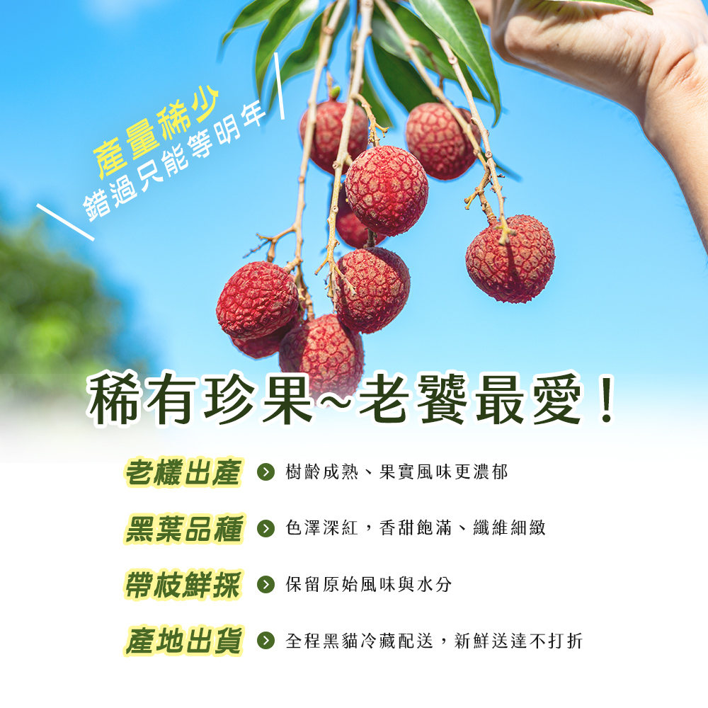 【雪莉朵辣嚴選】黑葉荔枝(5斤/箱) 箱購水果