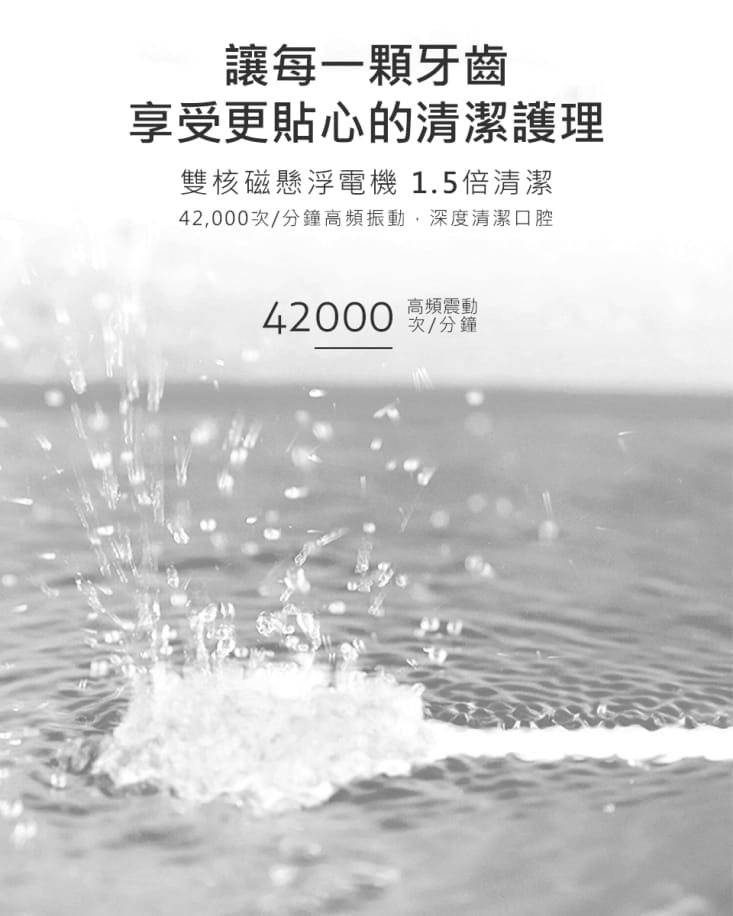 【SAMPO聲寶】五段式音波震動牙刷 TB-Z1906L