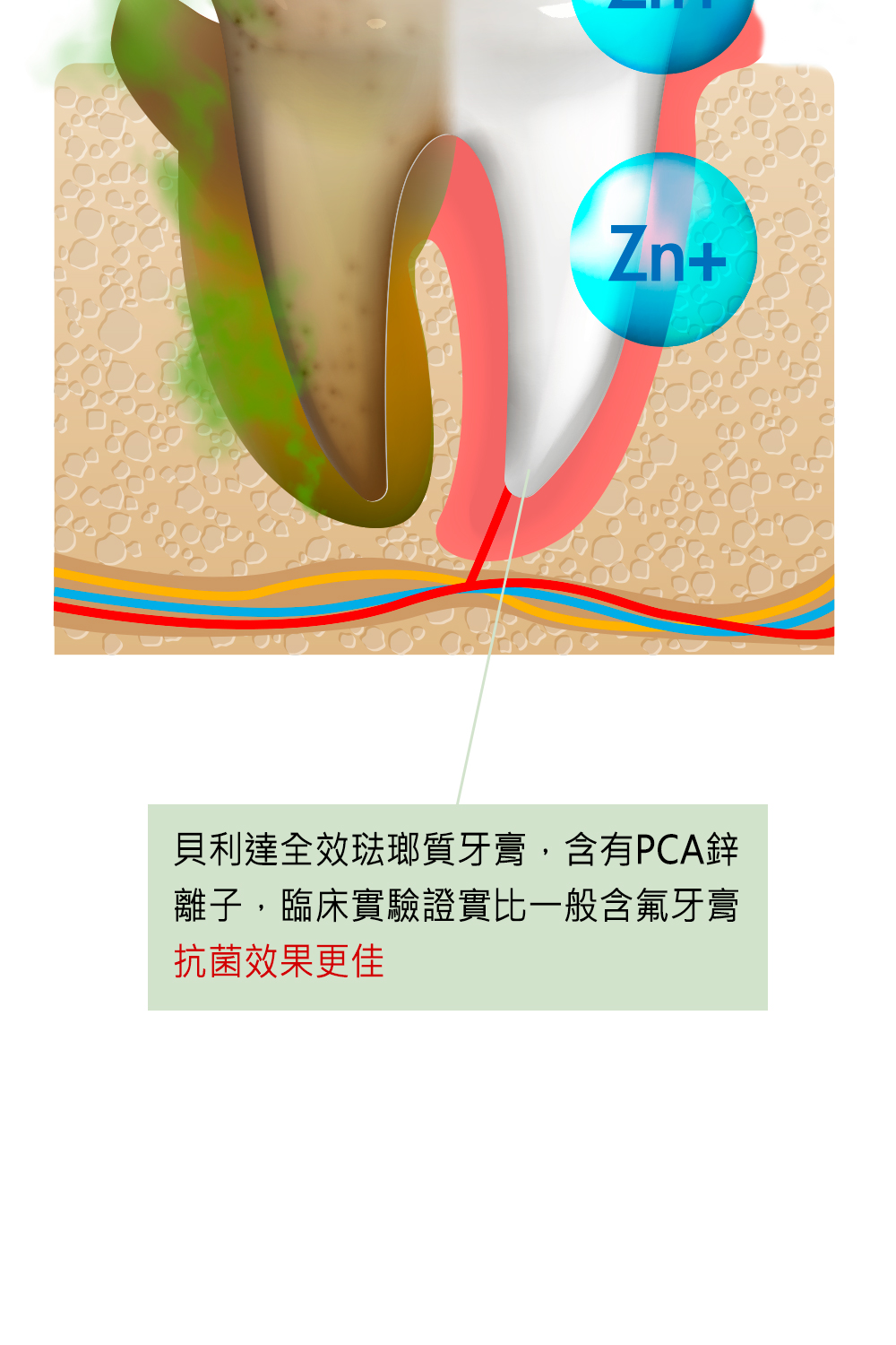 【Biorepair 貝利達】專業修護6+1入超值組(全效+抗敏+