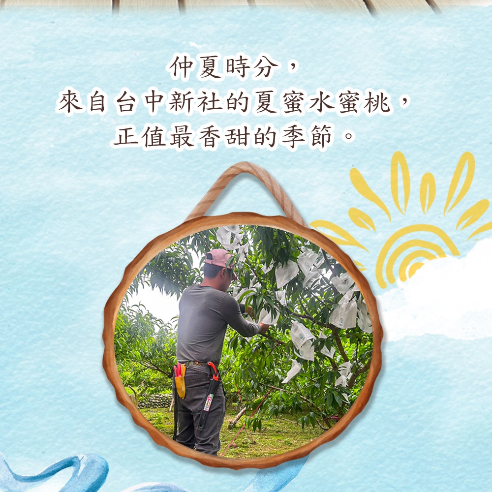 【禾鴻】台中新社夏蜜水蜜桃禮盒(3斤,6顆裝/8顆裝) 蜜桃 桃子 水果禮盒
