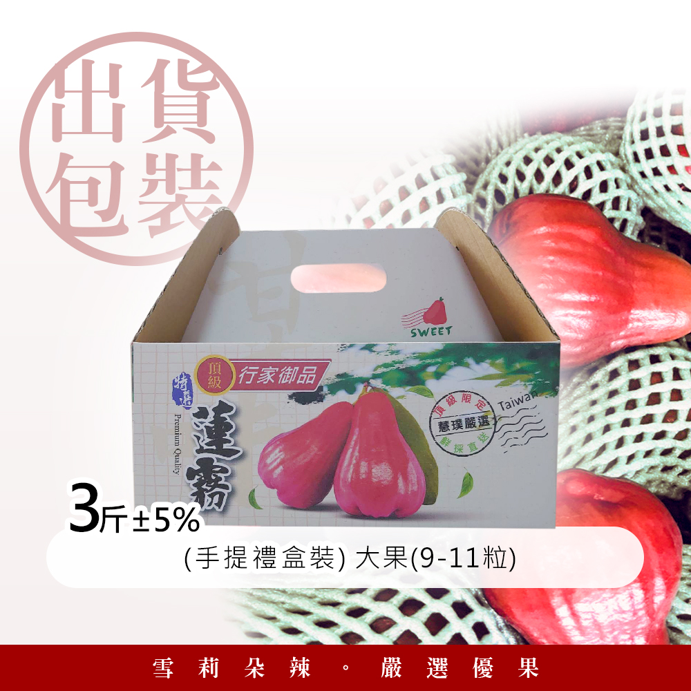 【雪莉朵辣嚴選】黑糖芭比蓮霧3斤(9-11粒) 水果