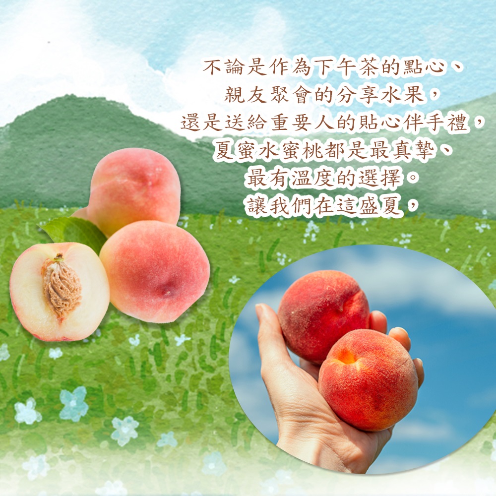 【禾鴻】台中新社夏蜜水蜜桃禮盒(3斤,6顆裝/8顆裝) 蜜桃 桃子 水果禮盒