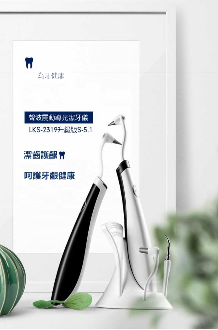 VIBRATION 高效多功能電動潔牙沖牙器