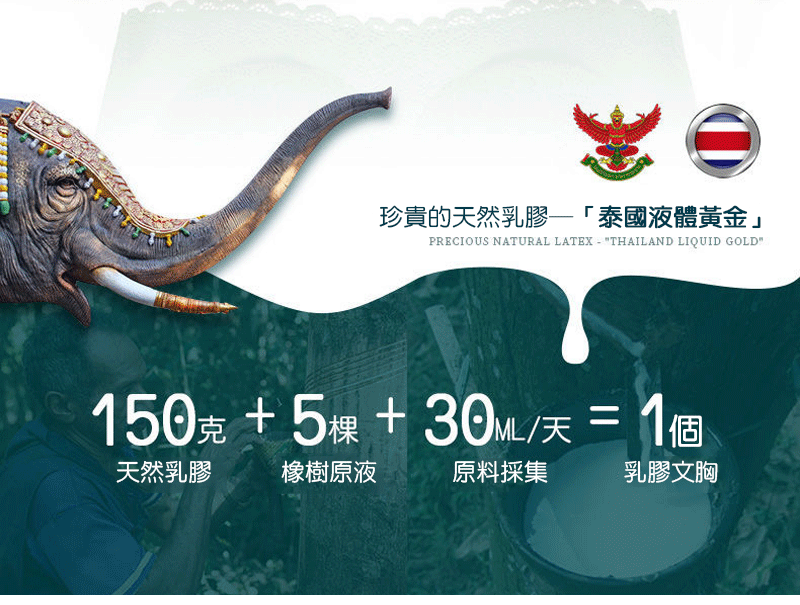 日系乳膠果凍無鋼圈內衣