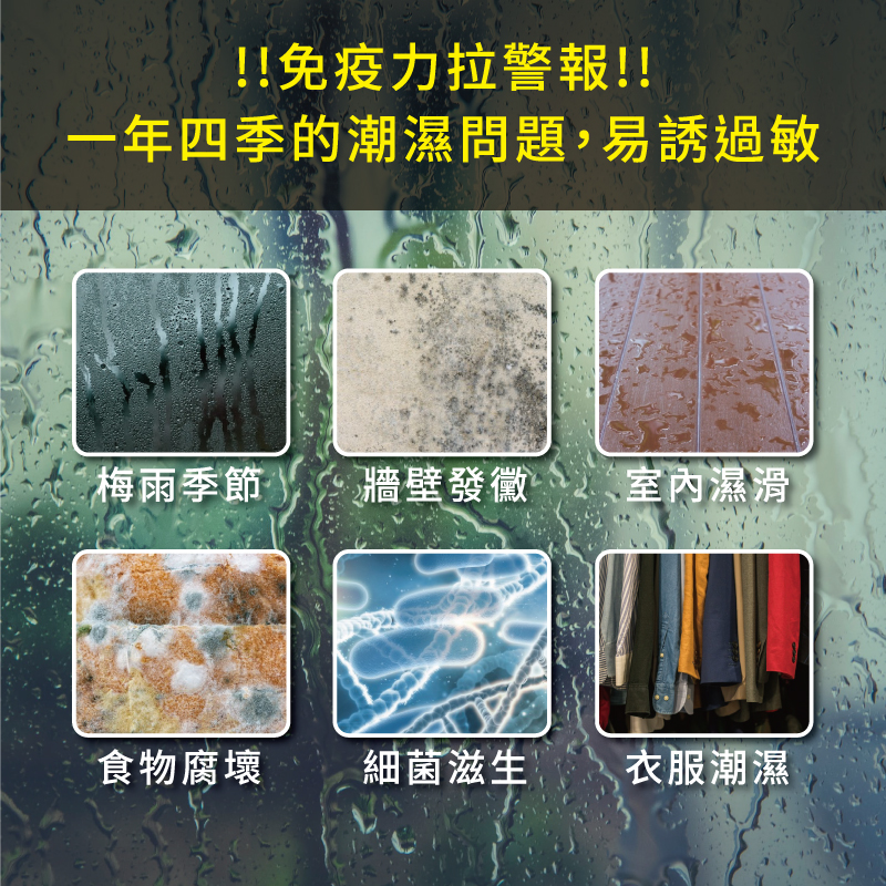 威技製造 東穎系列27公升除濕機 TD-568 (可申請補助1200元)