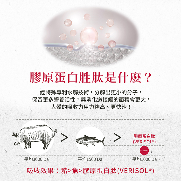 【聖伯納德】膠原蛋白安瓶(30入/盒) 德國百年草本 美顏補給飲