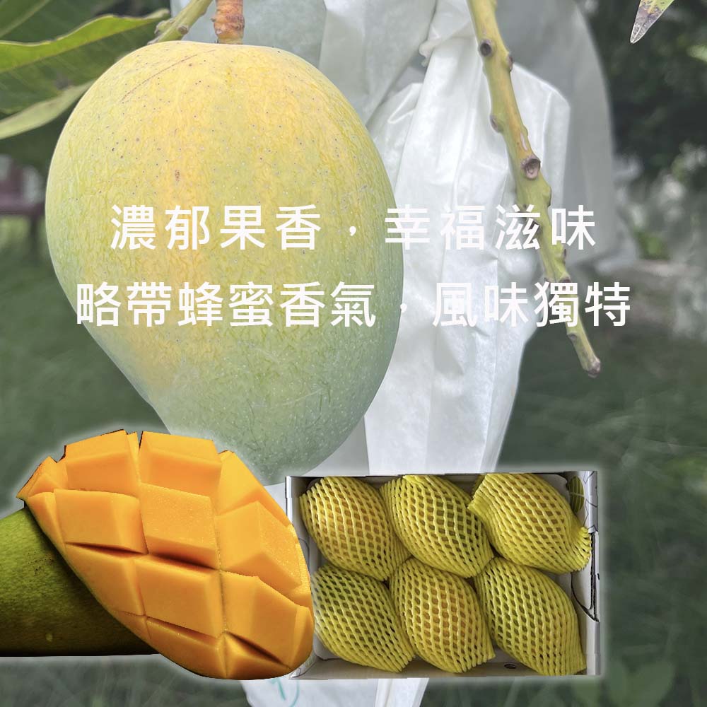 【雪莉朵辣嚴選】金蜜芒果2.5kg(中果6-8粒、大果5粒/箱) 箱購水果