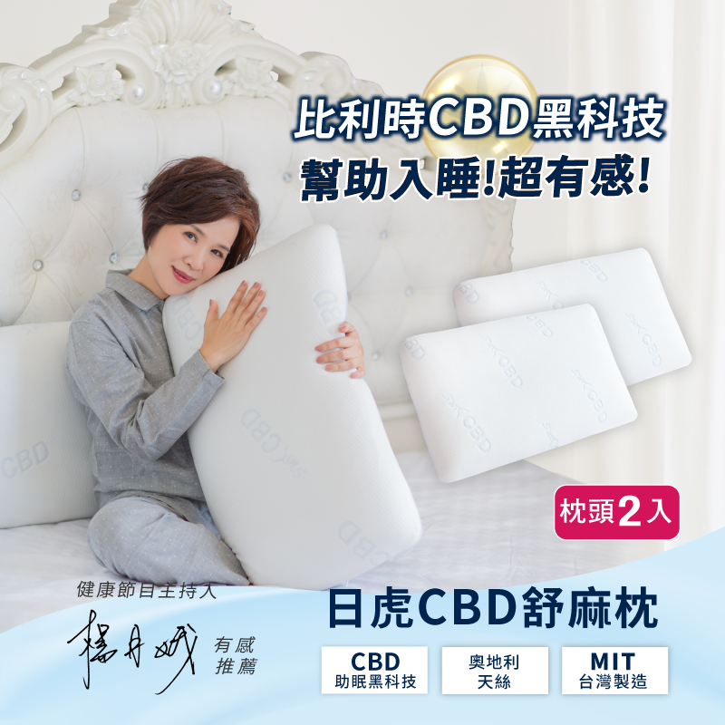【日虎】MIT台灣製天絲舒麻枕 慢彈記憶枕/天絲枕頭套/楊月娥推薦