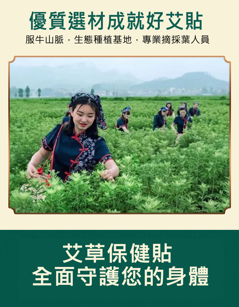 南京同仁堂艾草舒緩貼 艾灸貼 頸椎貼 腰椎貼 膝蓋貼 艾草舒緩貼