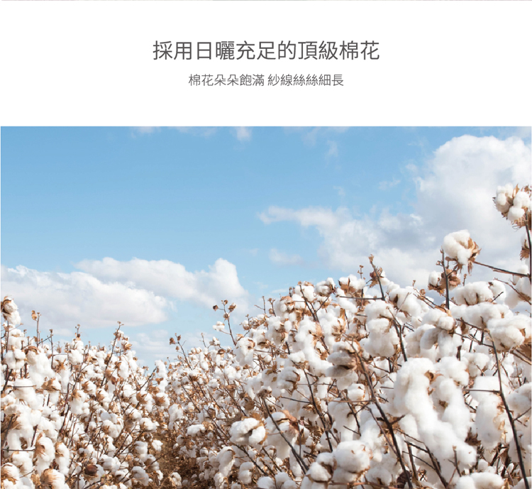 【星紅織品】鬰金香吸水速乾純棉浴巾/毛巾(2色任選)