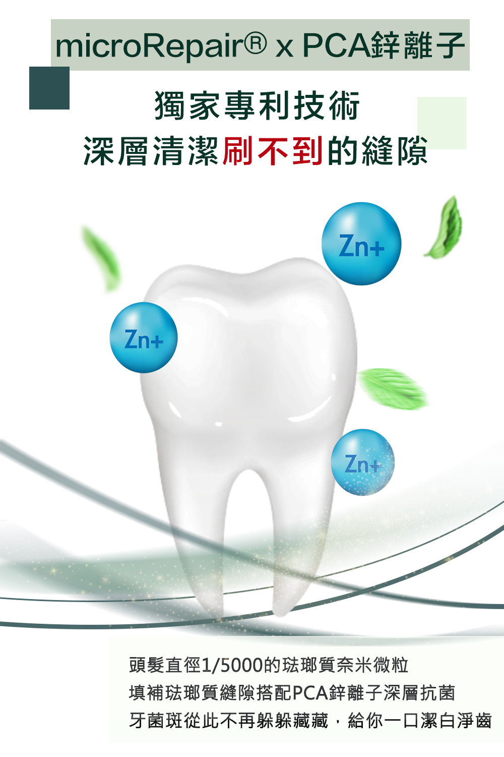 【Biorepair 貝利達】專業修護6+1入超值組(全效+抗敏+