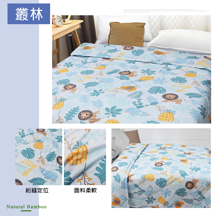 台灣製自然控溫天竹抑菌超薄水感紗夏天涼被 空調被/膝蓋被/車用被/旅行被