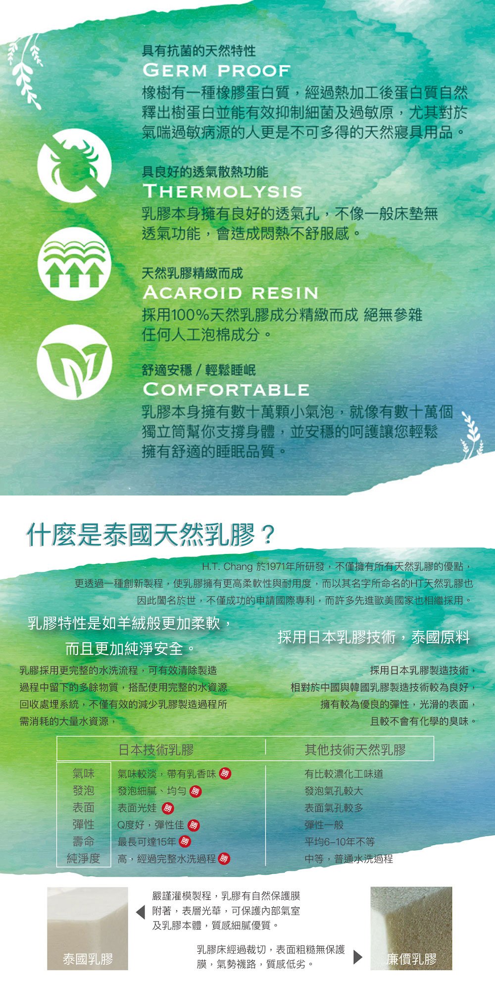 【BEST】100%泰國乳膠枕 多款可選 贈可愛收納籃