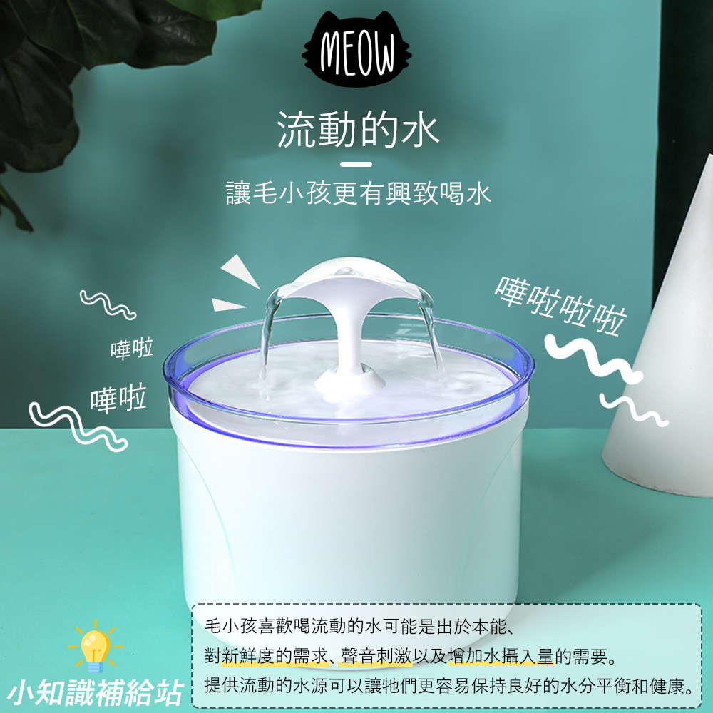 小花寵物飲水機