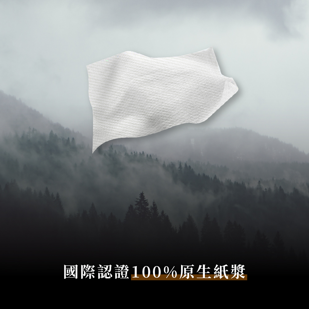 【HELLO】超大張 典雅抽取式廚房紙巾100抽x3包x8袋