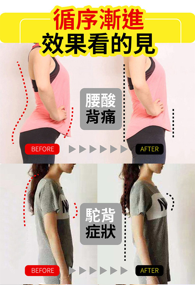 Sports Cushion體態骨盆枕 /椅墊/ 坐墊 指定方案加贈贈品