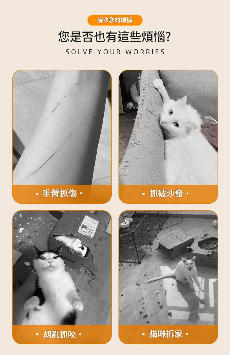 隨處可貼貓抓板 貓咪攀爬