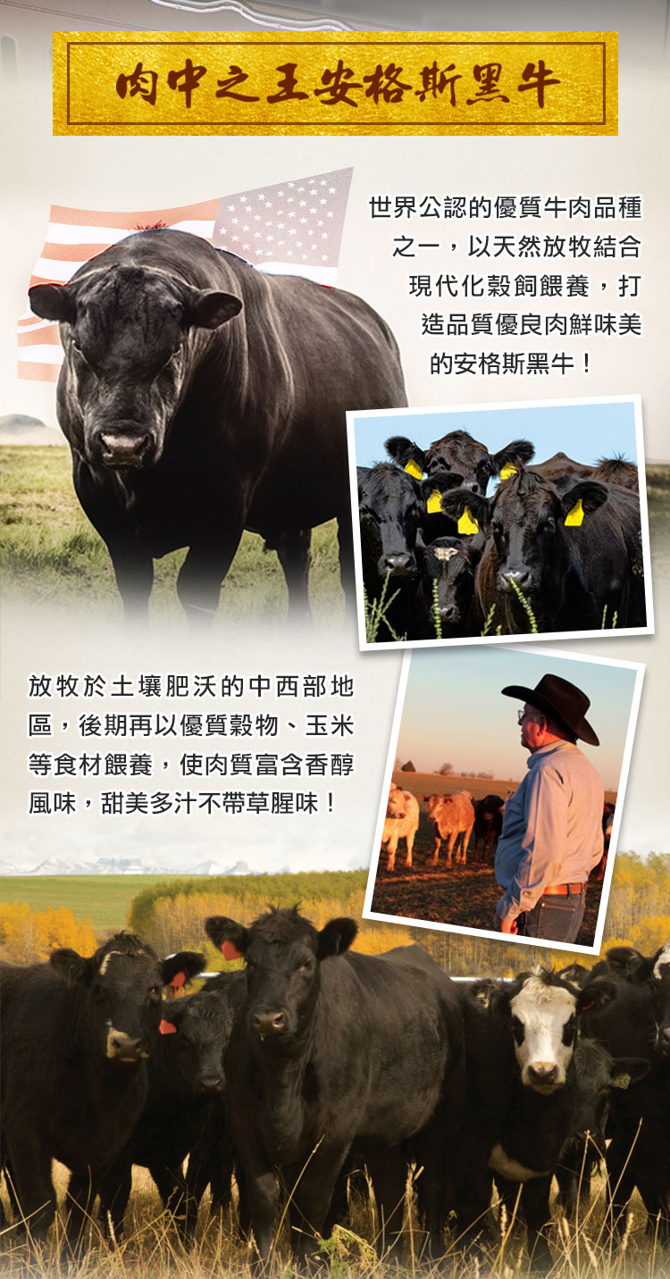【享吃肉肉】美國安格斯帶骨牛小排 250g/2片/包